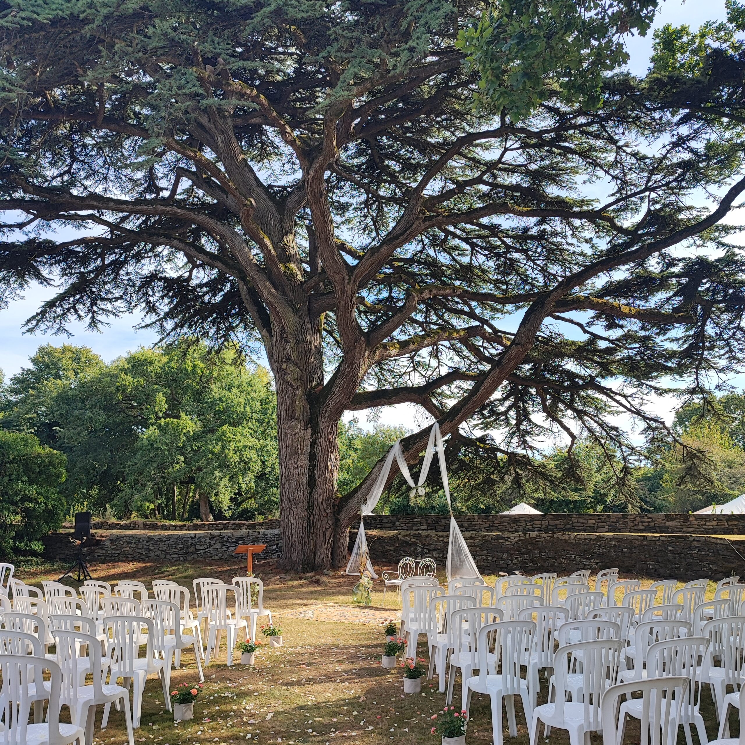 Ceremonie de mariage exterieure